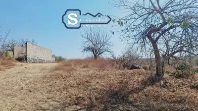 Terreno en venta en Yecapixtla - foto 3