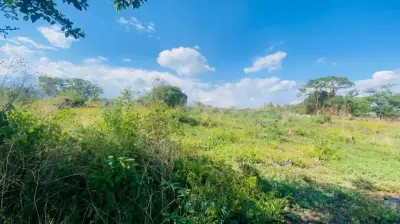 Terreno en venta en Tlayacapan - foto 3