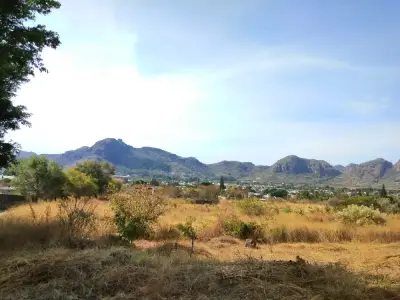 Terreno en venta en Tlayacapan - foto 2