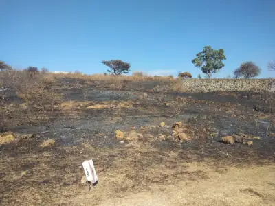 Terreno en venta en Tlayacapan - foto 5