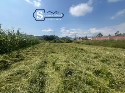 💰bonito terreno en Tlayacapan