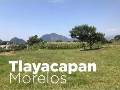 Terreno en venta en Tlayacapan - foto 2