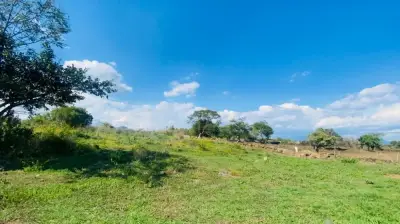 Terreno en venta en Tlayacapan - foto 5