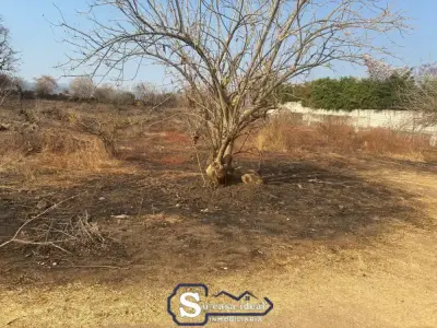 Terreno en venta en Tlayacapan - foto 5