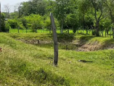 Rancho en venta en Centro - foto 5