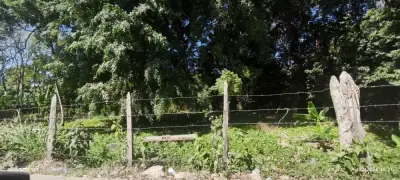 Terreno en venta en Centro - foto 2