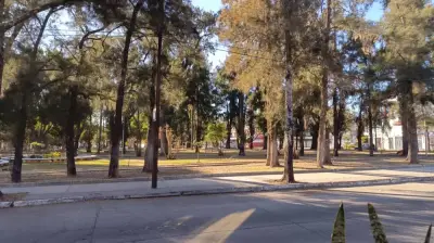 Oficina en renta en Zapopan - foto 3