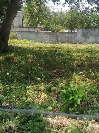 Terreno en venta en Centla - foto 3