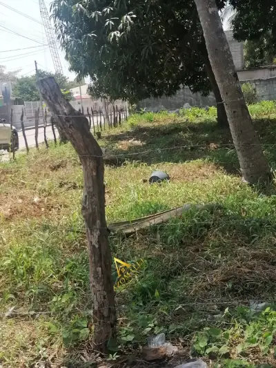 Terreno en venta en Centla - foto 2