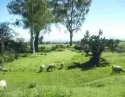Terreno en venta - foto 4
