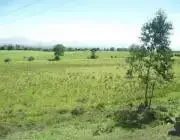 Terreno en venta - foto 2