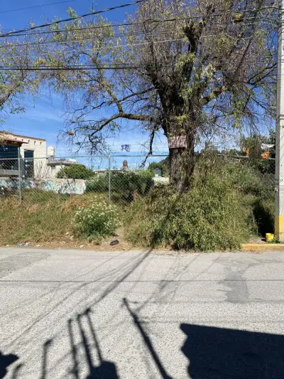 Terreno en venta en prolongación Morelos 123, barrio santiag