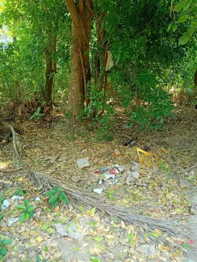 Se vende terreno buenavista