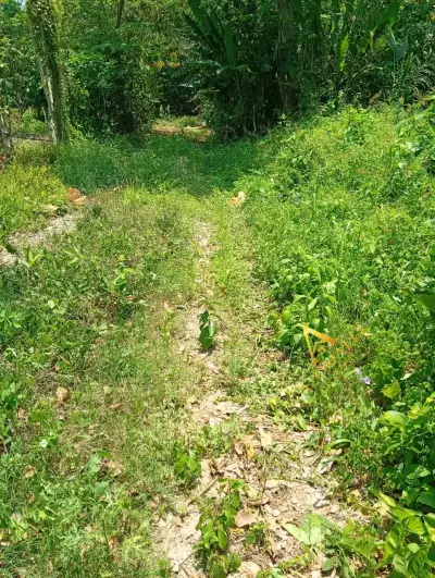 Terreno en venta - foto 3