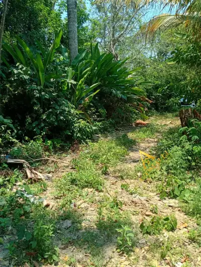 Terreno en venta - foto 4