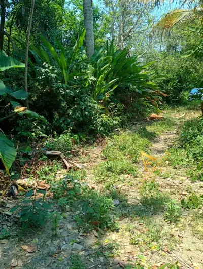 Terreno en venta - foto 2