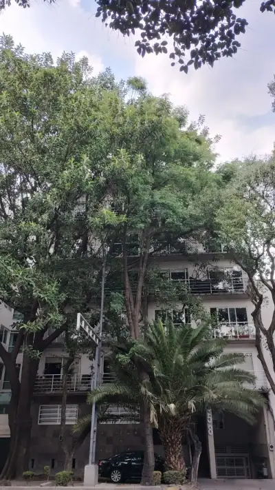 ¡departamento en renta – colonia del narvarte poniente!  ✨