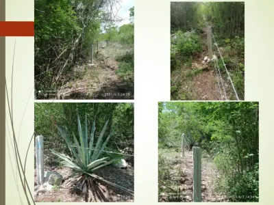 Terreno en venta en Mérida - foto 2