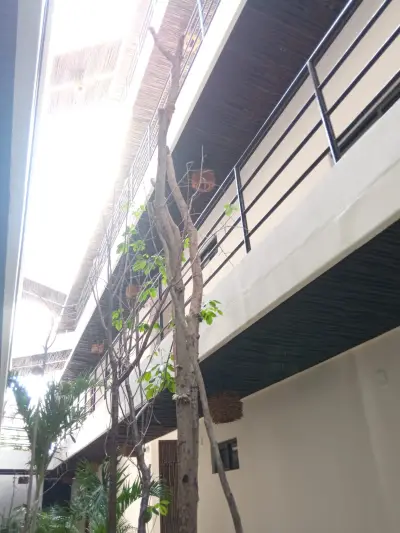 Departamento en venta en Tulum - foto 3