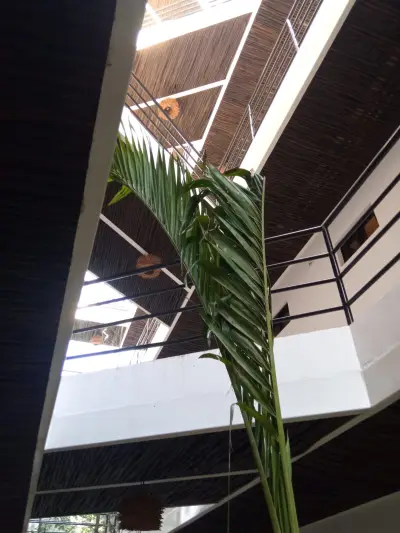 Departamento en venta en Tulum - foto 5