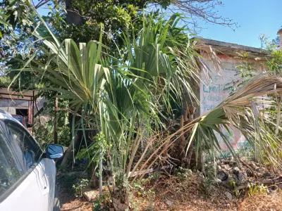 Terreno en venta en Salina Cruz - foto 5