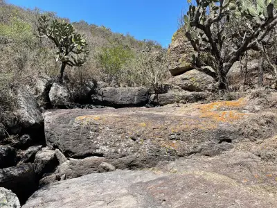 Rancho en venta en Lagos de Moreno - foto 5