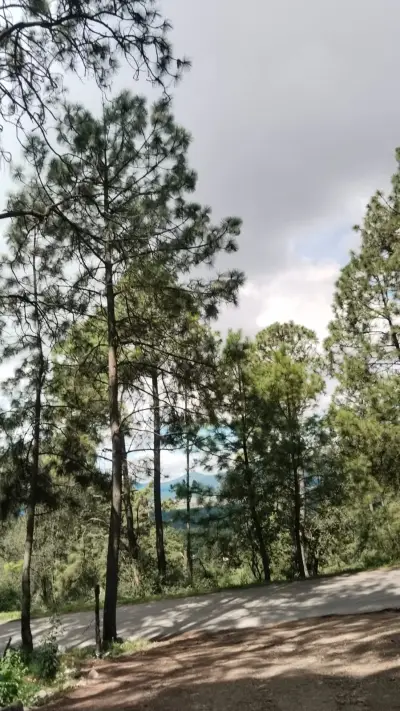 Vista 4