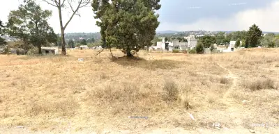Terreno en venta en Apizaco - foto 2