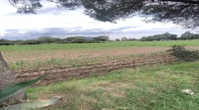 Terreno en venta en Xaloztoc - foto 4