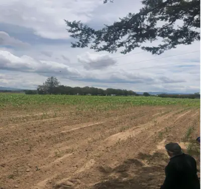Terreno en venta en Xaloztoc - foto 3