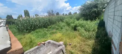 Terreno en venta en Amaxac de Guerrero - foto 4