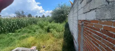 Terreno en venta en Amaxac de Guerrero - foto 3