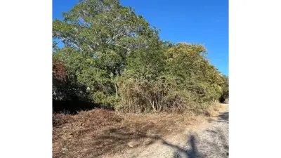 Terreno en chacala, Nayarit