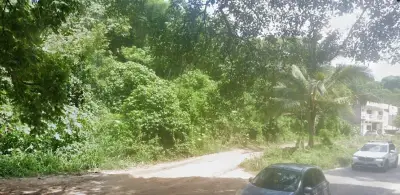 Terreno en sayulita interior