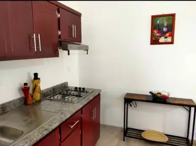 Departamento en renta en San Juan del Río - foto 4