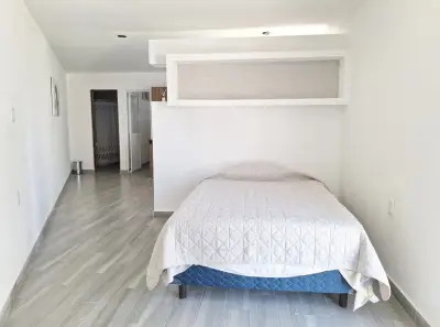 Departamento en renta en San Luis Potosí - foto 2