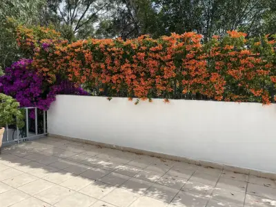Casa en renta en Naucalpan de Juárez - foto 5