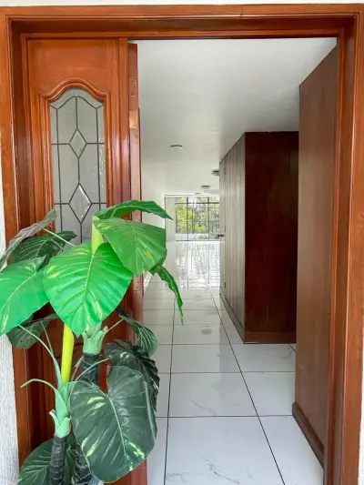 Casa en renta con luz, espacio y carácter