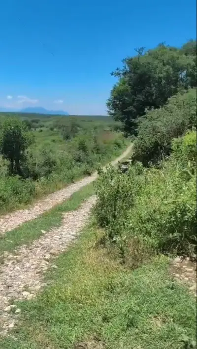 Rancho en venta en Montemorelos - foto 3
