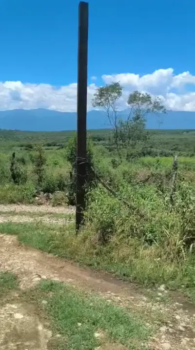 Rancho en venta en Montemorelos - foto 4