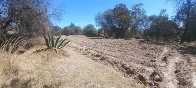Terreno en renta en Yauhquemecan - foto 4