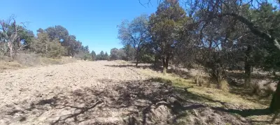 Terreno en renta en Yauhquemecan - foto 5