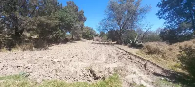 Terreno en renta en Yauhquemecan - foto 2