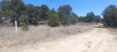 Terreno en venta en Apizaco - foto 3