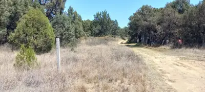 Terreno en venta en Apizaco - foto 2