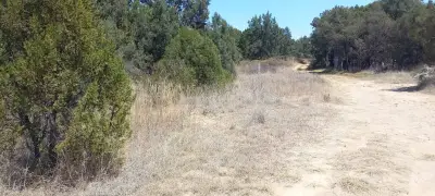 Terreno en venta en Apizaco - foto 4