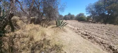 Terreno en renta en Yauhquemecan - foto 3