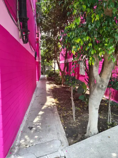 Departamento en renta en Iztapalapa - foto 2