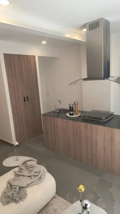 Departamento en venta en Miguel Hidalgo - foto 2