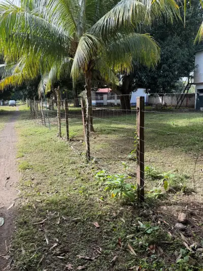 Vista 3